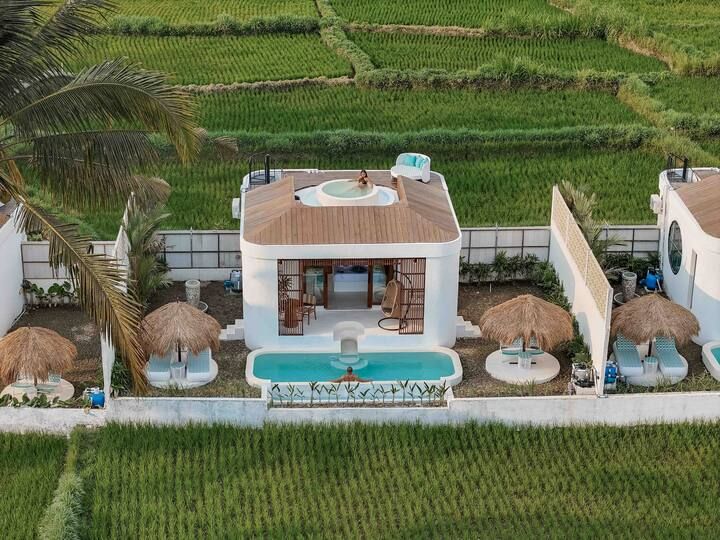 Luxury Villa Garden Planters